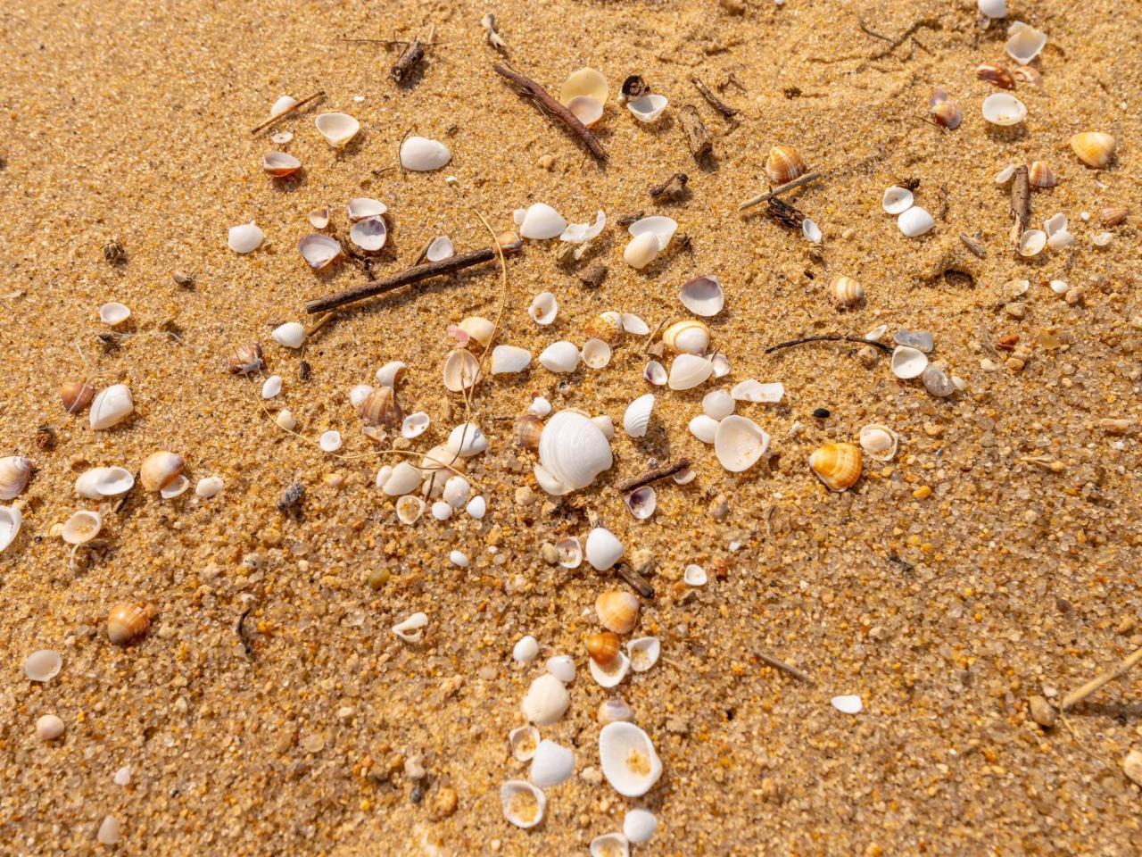Pousada Pe Na Areia Caraguatatuba Ngoại thất bức ảnh
